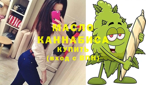 хмурый Ладушкин