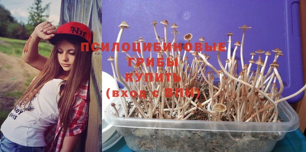прущие крисы Кукмор