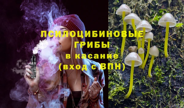 гидра Корсаков
