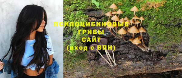 спайс Кулебаки