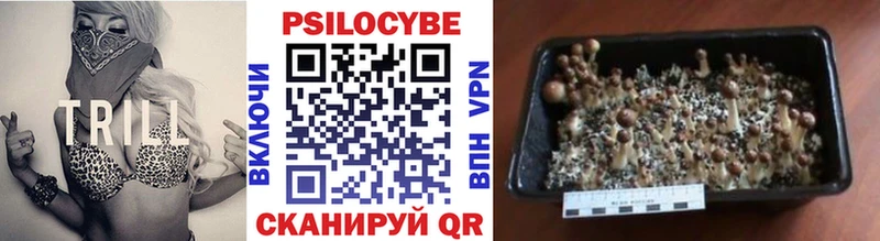 Галлюциногенные грибы Magic Shrooms магазин Кукмор